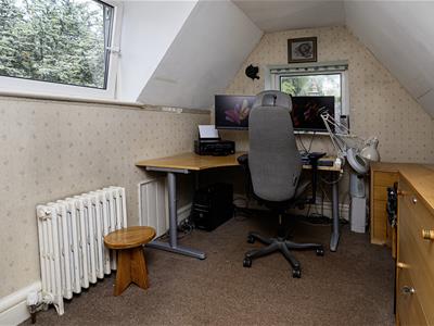Picture 48